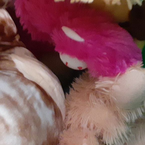 Lot of a ton of stuff anmails - Picture 4 of 4